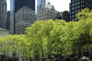 blog-postales-bryantpark-04