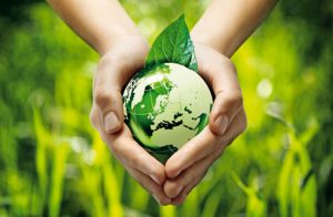 ecologia1