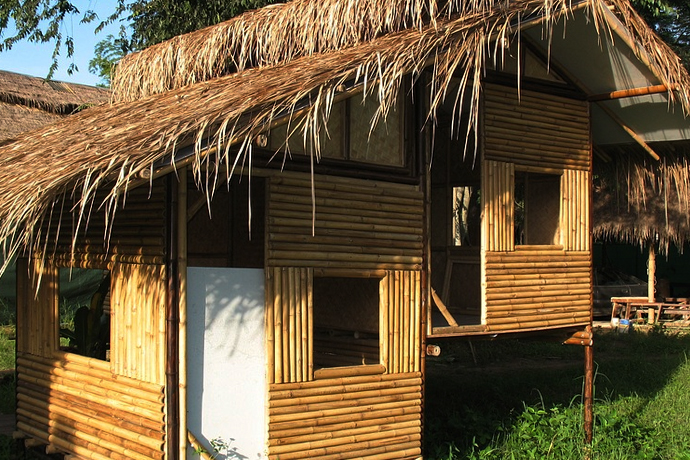 bambu-01