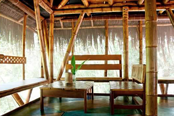 bambu-02